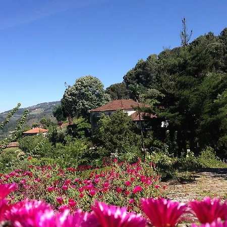 Arsdurium Douro Hotel Cinfães