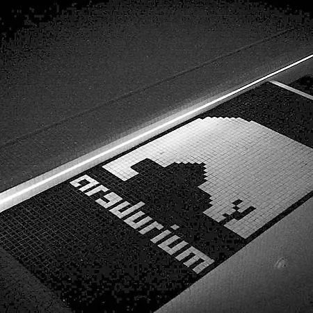 Arsdurium Douro 4* Cinfães