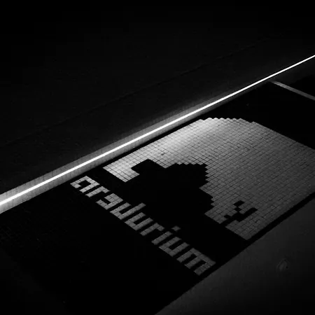 מלון Arsdurium Douro 4*