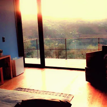 Arsdurium Douro 4* Cinfães