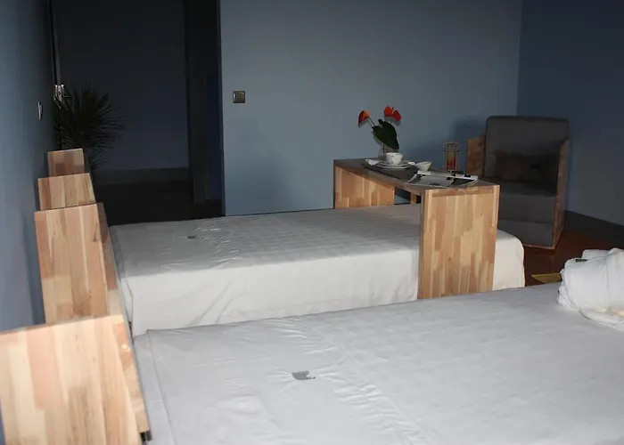 Arsdurium Douro Hotel Cinfães